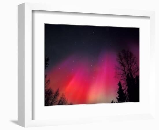 Curtains of Northern Lights above Fairbanks, Alaska, USA-Hugh Rose-Framed Photographic Print