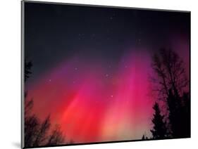 Curtains of Northern Lights above Fairbanks, Alaska, USA-Hugh Rose-Mounted Photographic Print