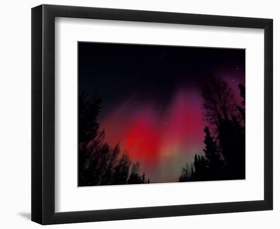 Curtains of Northern Lights above Fairbanks, Alaska, USA-Hugh Rose-Framed Photographic Print