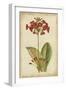 Curtis Blooms in Red I-Vision Studio-Framed Art Print