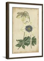 Curtis Blooms in White I-Vision Studio-Framed Art Print