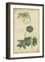 Curtis Blooms in White I-Vision Studio-Framed Art Print