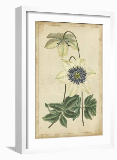 Curtis Blooms in White I-Vision Studio-Framed Art Print