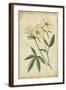 Curtis Blooms in White IV-Vision Studio-Framed Art Print