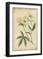 Curtis Blooms in White IV-Vision Studio-Framed Art Print