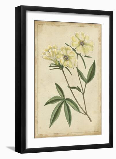 Curtis Blooms in White IV-Vision Studio-Framed Art Print