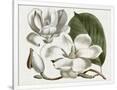 Gramercy White