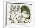 Gramercy White