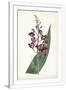 Gramercy White