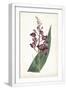 White Frame