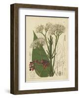 Curtis Leaves & Blooms II-Curtis-Framed Art Print