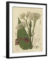 Curtis Leaves & Blooms II-Curtis-Framed Art Print