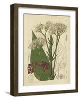 Curtis Leaves & Blooms II-Curtis-Framed Art Print