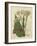 Curtis Leaves & Blooms II-Curtis-Framed Art Print