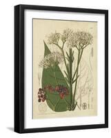 Curtis Leaves & Blooms II-Curtis-Framed Art Print