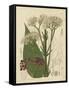 Curtis Leaves & Blooms II-Curtis-Framed Stretched Canvas