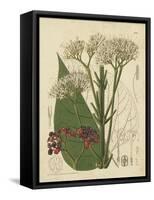 Curtis Leaves & Blooms II-Curtis-Framed Stretched Canvas
