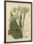 Curtis Leaves & Blooms II-Curtis-Framed Art Print