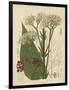 Curtis Leaves & Blooms II-Curtis-Framed Art Print