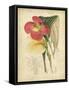 Curtis Tropical Blooms I-Samuel Curtis-Framed Stretched Canvas