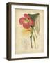 Curtis Tropical Blooms I-Samuel Curtis-Framed Art Print