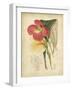 Curtis Tropical Blooms I-Samuel Curtis-Framed Art Print