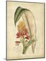 Curtis Tropical Blooms II-Samuel Curtis-Mounted Art Print