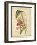 Curtis Tropical Blooms II-Samuel Curtis-Framed Art Print