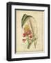 Curtis Tropical Blooms II-Samuel Curtis-Framed Art Print