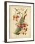 Curtis Tropical Blooms III-Samuel Curtis-Framed Art Print