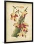 Curtis Tropical Blooms III-Samuel Curtis-Framed Art Print