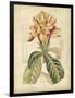 Curtis Tropical Blooms IV-Samuel Curtis-Framed Art Print