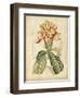 Curtis Tropical Blooms IV-Samuel Curtis-Framed Art Print