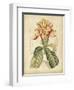 Curtis Tropical Blooms IV-Samuel Curtis-Framed Art Print