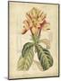 Curtis Tropical Blooms IV-Samuel Curtis-Mounted Art Print