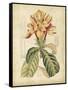 Curtis Tropical Blooms IV-Samuel Curtis-Framed Stretched Canvas