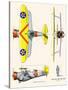 Curtiss BF2C-1 Hawk-John T. McCoy Jr.-Stretched Canvas