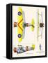 Curtiss BF2C-1 Hawk-John T. McCoy Jr.-Framed Stretched Canvas