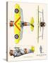 Curtiss BF2C-1 Hawk-John T. McCoy Jr.-Stretched Canvas