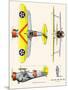 Curtiss BF2C-1 Hawk-John T. McCoy Jr.-Mounted Art Print