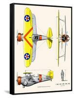 Curtiss BF2C-1 Hawk-John T. McCoy Jr.-Framed Stretched Canvas