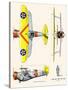 Curtiss BF2C-1 Hawk-John T. McCoy Jr.-Stretched Canvas