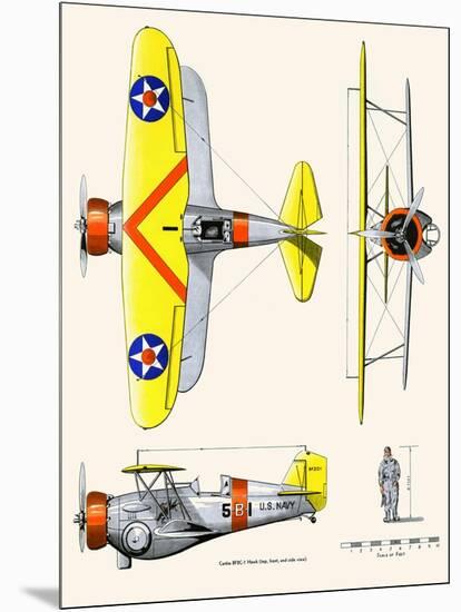 Curtiss BF2C-1 Hawk-John T. McCoy Jr.-Mounted Art Print