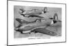 Curtiss P-40 Pursuit Fighter Planes-null-Mounted Giclee Print