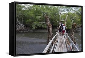 Curu Wildlife Reserve, Costa Rica, Central America-Sergio-Framed Stretched Canvas