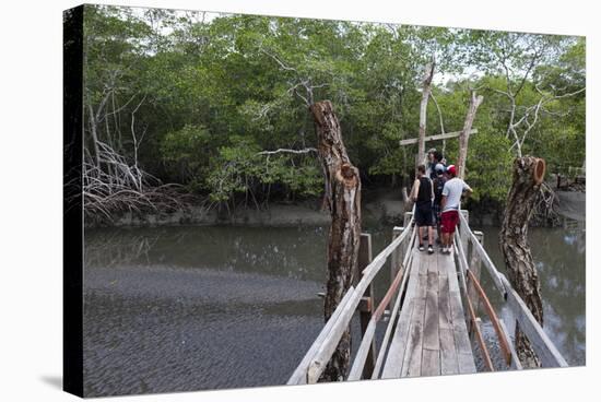 Curu Wildlife Reserve, Costa Rica, Central America-Sergio-Stretched Canvas