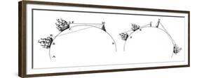 Curvature of the Earth, 1764-null-Framed Giclee Print