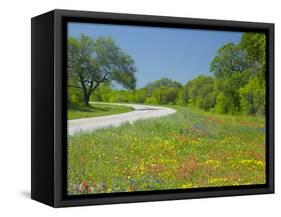 Curve in Roadway with Wildflowers Near Gonzales, Texas, USA-Darrell Gulin-Framed Stretched Canvas
