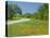 Curve in Roadway with Wildflowers Near Gonzales, Texas, USA-Darrell Gulin-Stretched Canvas