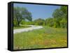 Curve in Roadway with Wildflowers Near Gonzales, Texas, USA-Darrell Gulin-Framed Stretched Canvas